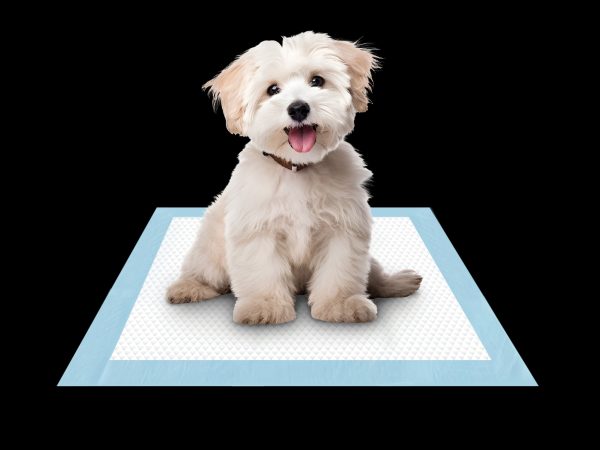 Puppy Pee Pads with 5-Layer Leak-Proof Design and Quick-Dry Surface with Odor-Control Carbon 17 x 24 Inch, 50 Pack Discount